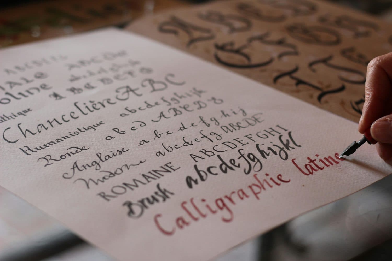Calligraphy & Hand Lettering
