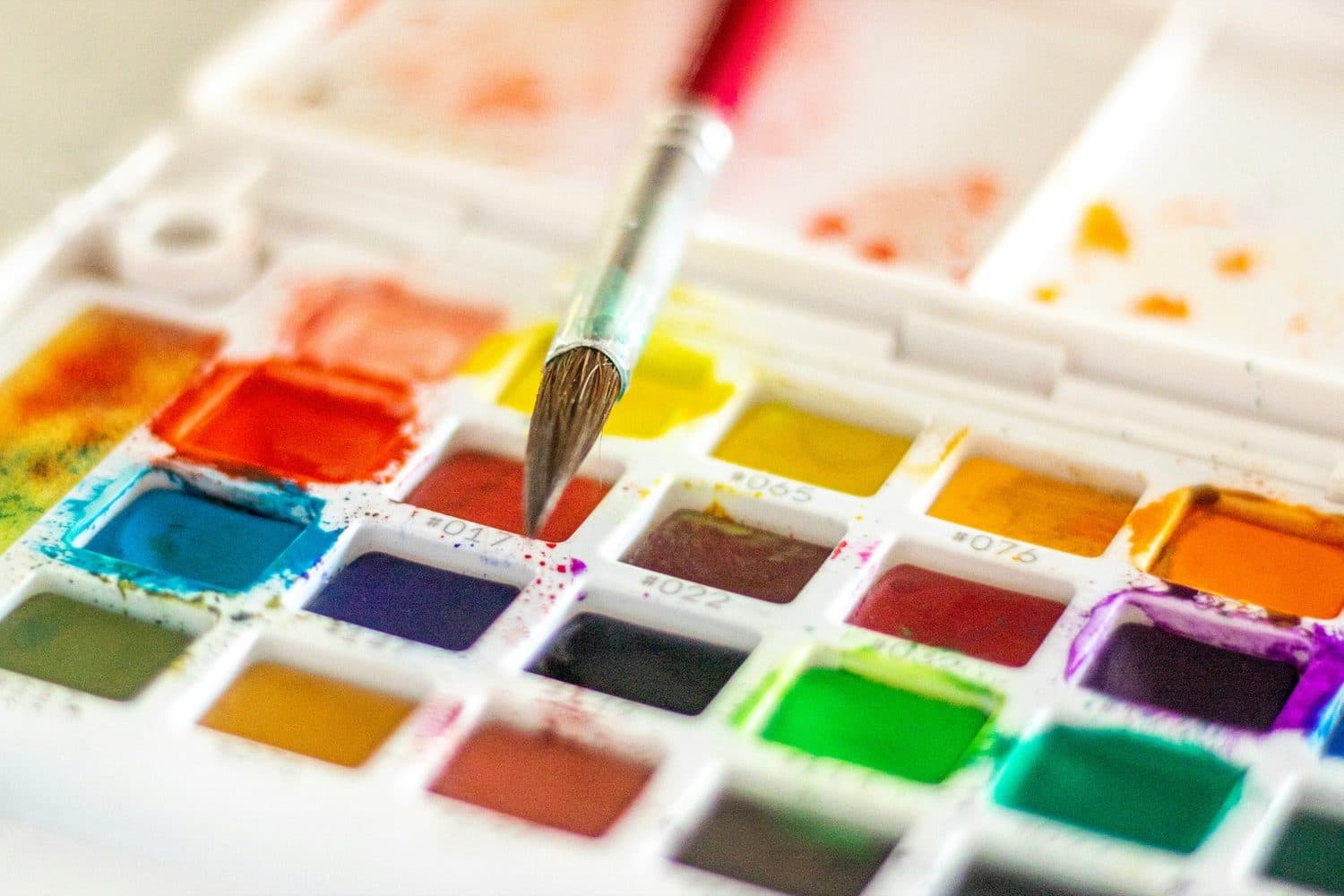 Watercolor Painting